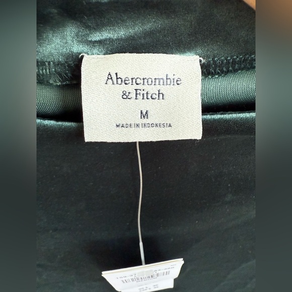 Abercrombie & Fitch Paloma Dark Green Long Sleeve Velvet Dress • M • NWT - Picture 7 of 8